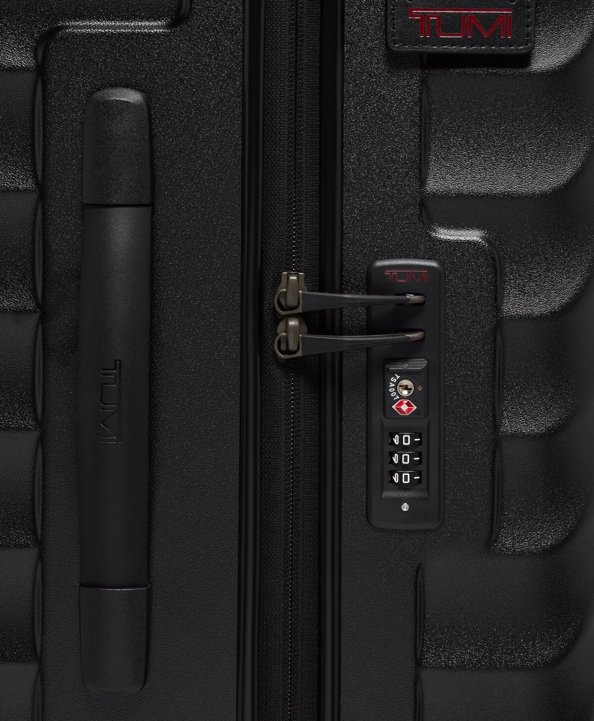 19 Degree Large Trunk