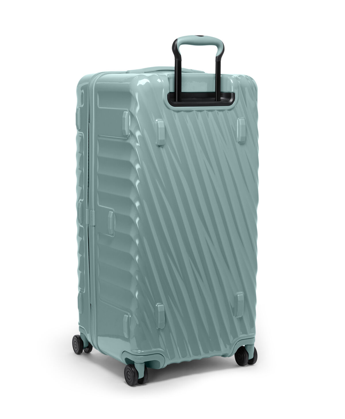 19 Degree Large Trunk